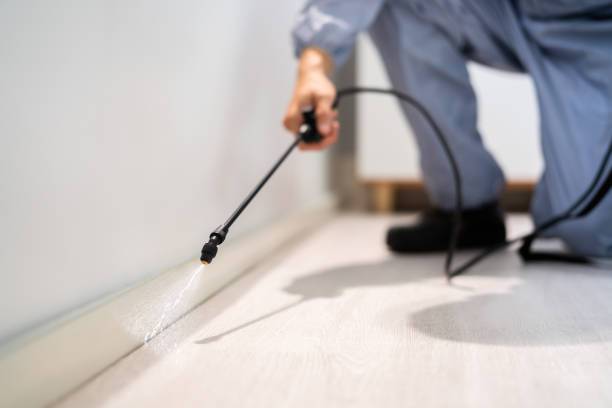Licensed Pest Control service in Colfax, IL - Show Me Pest Control