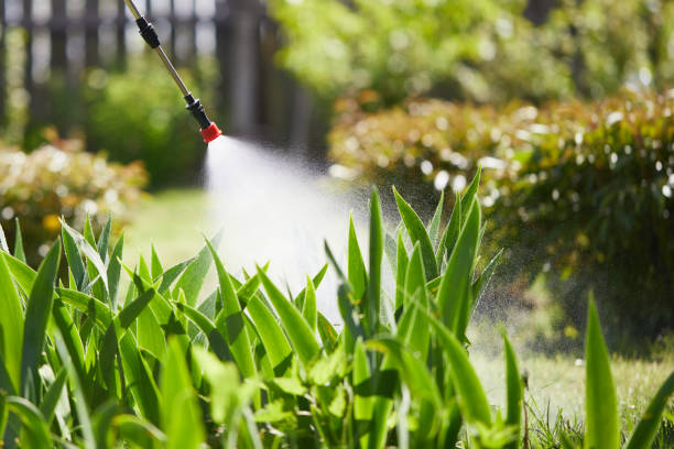 24/7 Emergency Wasp Removal experts in Colfax, IL