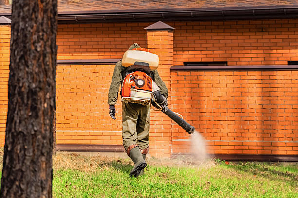 Top rated local Wasp Removal specialists in Colfax, IL